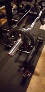 جلوبازو هالتر